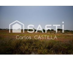 Gran terreno rústico de 12.000m2 perfectamente conectado.