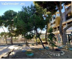 Casa-Chalet en Venta en San Javier Murcia