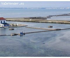 Pisos en Venta  San Pedro Del Pinatar Murcia