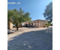INCREIBLE FINCA DE PIEDRA.