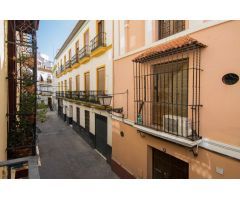 Maravillosa casa en pleno centro de Sevilla, en el barrio de La Magdalena!!!