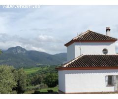 CASA RURAL EN PLENA SIERRA DE CÁDIZ