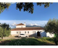 CASA RURAL EN PLENA SIERRA DE CÁDIZ