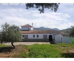 CASA RURAL EN PLENA SIERRA DE CÁDIZ