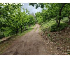 Casa de campo-Masía en Venta en Genalguacil Málaga 