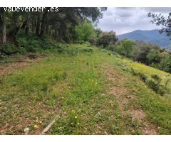 Casa de campo-Masía en Venta en Genalguacil Málaga 