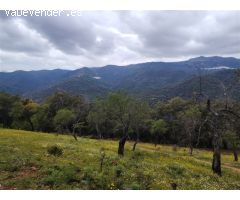 Casa de campo-Masía en Venta en Genalguacil Málaga 