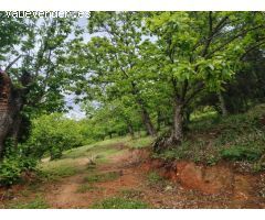 Casa de campo-Masía en Venta en Genalguacil Málaga 