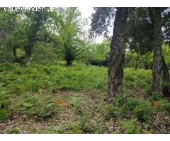 Casa de campo-Masía en Venta en Genalguacil Málaga 