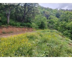 Casa de campo-Masía en Venta en Genalguacil Málaga 