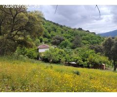 Casa de campo-Masía en Venta en Genalguacil Málaga 