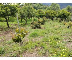 Casa de campo-Masía en Venta en Genalguacil Málaga 