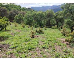 Casa de campo-Masía en Venta en Genalguacil Málaga 