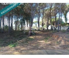 Parcela Urbana en Venta: Tu Oportunidad en La Goba