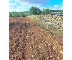 Terreno Rústico Urbanizable con Encanto Mallorquín