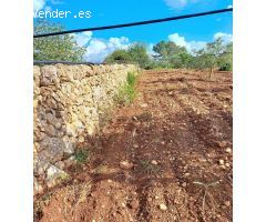 Terreno Rústico Urbanizable con Encanto Mallorquín