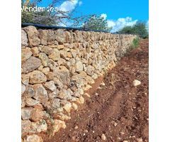 Terreno Rústico Urbanizable con Encanto Mallorquín