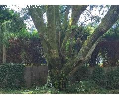 Finca rústica con agua y luz
