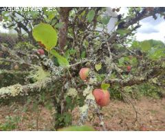 Finca rústica con agua y luz