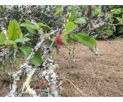 Finca rústica con agua y luz