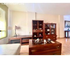 Pisos en Alquiler  Málaga Málaga