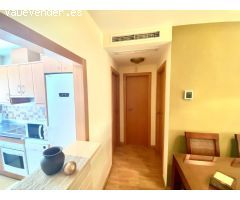 Pisos en Alquiler  Málaga Málaga