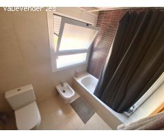 Pisos en Alquiler  Málaga Málaga