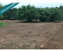 Casa señorial gallega de 610 m2 de vivienda y terrenos 12.267m2, 3.000 metros de esos son edificabl