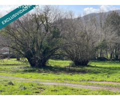 Casa señorial gallega de 610 m2 de vivienda y terrenos 12.267m2, 3.000 metros de esos son edificabl
