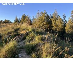 Suelo urbanizable en Venta en Málaga Málaga PUERTO DE LA TORRE