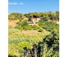 FINCA RURAL CON 2 CASAS INDEPENDIENTES EN ZONA EL PADRON, ¡VISITELA!