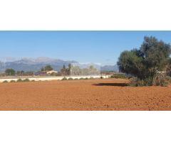 Casa de campo-Masía en Venta en Sencelles Baleares Ref: 88