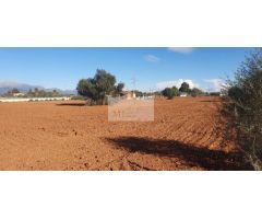 Casa de campo-Masía en Venta en Sencelles Baleares Ref: 88