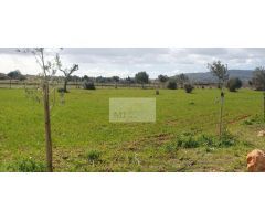 Casa de campo-Masía en Venta en Sencelles Baleares Ref: 88
