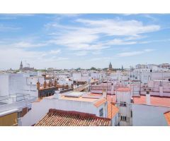 Pisos en Venta  Sevilla Sevilla