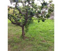 Suelo urbanizable en Venta en San Cibrao (Cervo) Lugo 