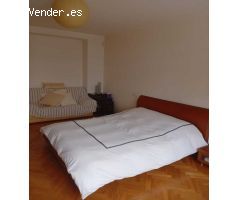 Pisos en Venta  Lugo Lugo