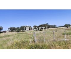 Parcela Rústica de 5.000 m² en Paraje Ermita de Bótoa – A solo 13 minutos de Badajoz