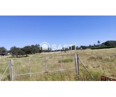Parcela Rústica de 5.000 m² en Paraje Ermita de Bótoa – A solo 13 minutos de Badajoz