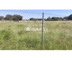 Parcela Rústica de 5.000 m² en Paraje Ermita de Bótoa – A solo 13 minutos de Badajoz