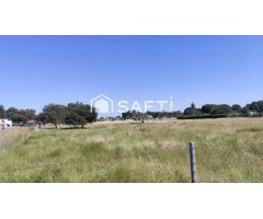 Parcela Rústica de 5.000 m² en Paraje Ermita de Bótoa – A solo 13 minutos de Badajoz