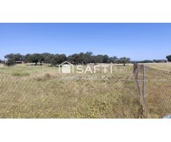 Parcela Rústica de 5.000 m² en Paraje Ermita de Bótoa – A solo 13 minutos de Badajoz