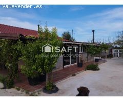 Vive libre, vive natural en Vinaròs: tu hogar sostenible entre naranjos y sol.