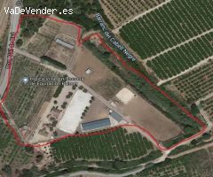Terreno hipica en Almenara