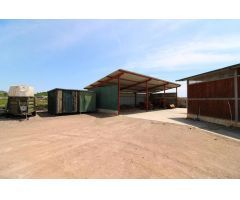 Terreno hipica en Almenara
