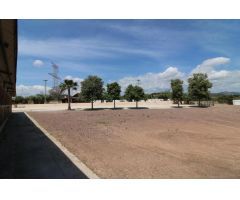 Terreno hipica en Almenara