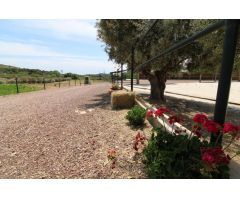 Terreno hipica en Almenara