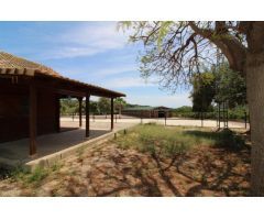 Terreno hipica en Almenara