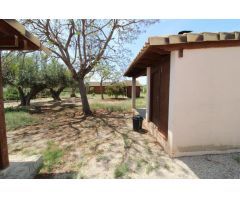 Terreno hipica en Almenara