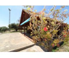 Terreno hipica en Almenara
